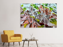 Laden Sie das Bild in den Galerie-Viewer, Leinwandbild 3-teilig Rohe Fische