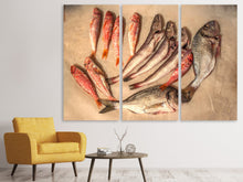Laden Sie das Bild in den Galerie-Viewer, Leinwandbild 3-teilig Roher Fisch