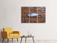Laden Sie das Bild in den Galerie-Viewer, Leinwandbild 3-teilig Der frische Fisch