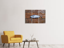Laden Sie das Bild in den Galerie-Viewer, Leinwandbild 3-teilig Der frische Fisch