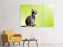 Laden Sie das Bild in den Galerie-Viewer, Leinwandbild 3-teilig Pop Art Katze XL