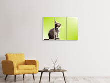 Laden Sie das Bild in den Galerie-Viewer, Leinwandbild 3-teilig Pop Art Katze XL