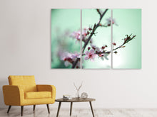 Laden Sie das Bild in den Galerie-Viewer, Leinwandbild 3-teilig Die japanische Kirschblüte