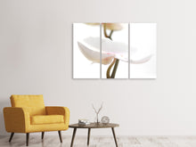 Laden Sie das Bild in den Galerie-Viewer, Leinwandbild 3-teilig XXL Orchideenblüte