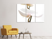 Laden Sie das Bild in den Galerie-Viewer, Leinwandbild 3-teilig XXL Orchideenblüte