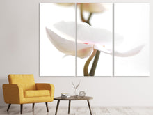 Laden Sie das Bild in den Galerie-Viewer, Leinwandbild 3-teilig XXL Orchideenblüte