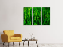 Laden Sie das Bild in den Galerie-Viewer, Leinwandbild 3-teilig Gras mit Morgentau