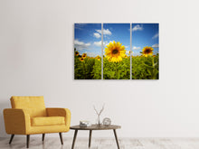 Laden Sie das Bild in den Galerie-Viewer, Leinwandbild 3-teilig Sommer-Sonnenblumen