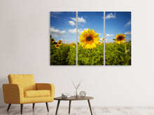 Laden Sie das Bild in den Galerie-Viewer, Leinwandbild 3-teilig Sommer-Sonnenblumen