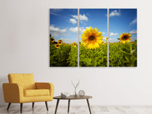 Laden Sie das Bild in den Galerie-Viewer, Leinwandbild 3-teilig Sommer-Sonnenblumen