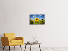 Laden Sie das Bild in den Galerie-Viewer, Leinwandbild 3-teilig Sommer-Sonnenblumen