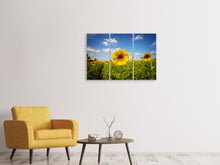 Laden Sie das Bild in den Galerie-Viewer, Leinwandbild 3-teilig Sommer-Sonnenblumen
