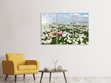 Laden Sie das Bild in den Galerie-Viewer, Leinwandbild 3-teilig Die Frühlingsblumenwiese