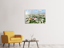 Laden Sie das Bild in den Galerie-Viewer, Leinwandbild 3-teilig Die Frühlingsblumenwiese