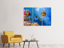 Laden Sie das Bild in den Galerie-Viewer, Leinwandbild 3-teilig Fisch im Wasser
