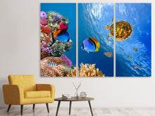 Laden Sie das Bild in den Galerie-Viewer, Leinwandbild 3-teilig Fisch im Wasser
