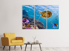 Laden Sie das Bild in den Galerie-Viewer, Leinwandbild 3-teilig Die Wasserschildkröte