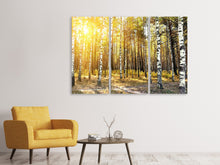 Laden Sie das Bild in den Galerie-Viewer, Leinwandbild 3-teilig Birkenwald