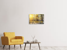 Laden Sie das Bild in den Galerie-Viewer, Leinwandbild 3-teilig Birkenwald