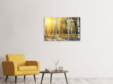 Laden Sie das Bild in den Galerie-Viewer, Leinwandbild 3-teilig Birkenwald