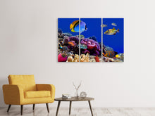 Laden Sie das Bild in den Galerie-Viewer, Leinwandbild 3-teilig Welt der Fische