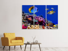 Laden Sie das Bild in den Galerie-Viewer, Leinwandbild 3-teilig Welt der Fische