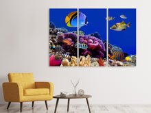 Laden Sie das Bild in den Galerie-Viewer, Leinwandbild 3-teilig Welt der Fische