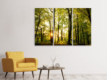 Laden Sie das Bild in den Galerie-Viewer, Leinwandbild 3-teilig Sonnenuntergang zwischen den Bäumen