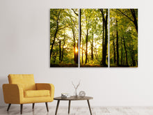 Laden Sie das Bild in den Galerie-Viewer, Leinwandbild 3-teilig Sonnenuntergang zwischen den Bäumen