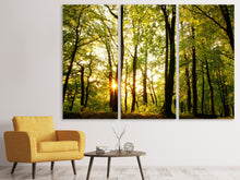 Laden Sie das Bild in den Galerie-Viewer, Leinwandbild 3-teilig Sonnenuntergang zwischen den Bäumen