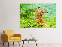 Laden Sie das Bild in den Galerie-Viewer, Leinwandbild 3-teilig Giraffenliebe