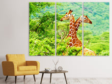 Laden Sie das Bild in den Galerie-Viewer, Leinwandbild 3-teilig Giraffenliebe