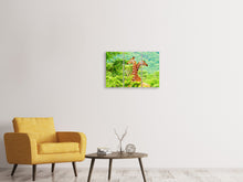 Laden Sie das Bild in den Galerie-Viewer, Leinwandbild 3-teilig Giraffenliebe