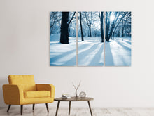 Laden Sie das Bild in den Galerie-Viewer, Leinwandbild 3-teilig Der Wald ohne Spuren im Schnee