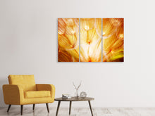 Laden Sie das Bild in den Galerie-Viewer, Leinwandbild 3-teilig Close Up Pusteblume im Licht