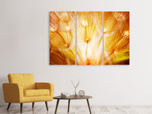 Laden Sie das Bild in den Galerie-Viewer, Leinwandbild 3-teilig Close Up Pusteblume im Licht
