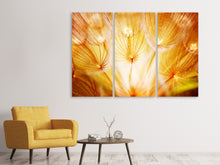 Laden Sie das Bild in den Galerie-Viewer, Leinwandbild 3-teilig Close Up Pusteblume im Licht