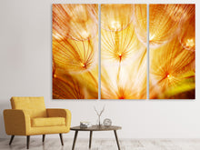 Laden Sie das Bild in den Galerie-Viewer, Leinwandbild 3-teilig Close Up Pusteblume im Licht