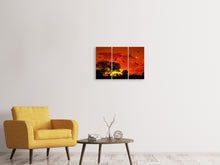 Laden Sie das Bild in den Galerie-Viewer, Leinwandbild 3-teilig African Feeling