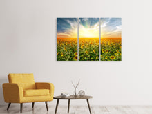 Laden Sie das Bild in den Galerie-Viewer, Leinwandbild 3-teilig Ein Feld voller Sonnenblumen