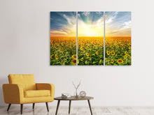 Laden Sie das Bild in den Galerie-Viewer, Leinwandbild 3-teilig Ein Feld voller Sonnenblumen