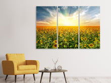 Laden Sie das Bild in den Galerie-Viewer, Leinwandbild 3-teilig Ein Feld voller Sonnenblumen