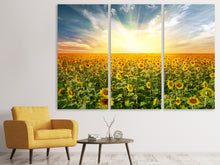 Laden Sie das Bild in den Galerie-Viewer, Leinwandbild 3-teilig Ein Feld voller Sonnenblumen
