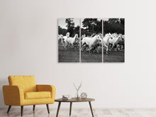 Laden Sie das Bild in den Galerie-Viewer, Leinwandbild 3-teilig Die Mustang Herde