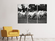 Laden Sie das Bild in den Galerie-Viewer, Leinwandbild 3-teilig Die Mustang Herde