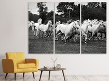 Laden Sie das Bild in den Galerie-Viewer, Leinwandbild 3-teilig Die Mustang Herde