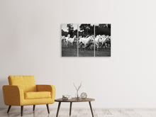 Laden Sie das Bild in den Galerie-Viewer, Leinwandbild 3-teilig Die Mustang Herde