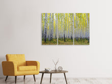 Laden Sie das Bild in den Galerie-Viewer, Leinwandbild 3-teilig Herbstlicher Birkenwald
