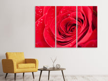 Laden Sie das Bild in den Galerie-Viewer, Leinwandbild 3-teilig Rote Rose im Morgentau