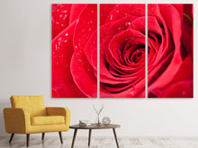 Laden Sie das Bild in den Galerie-Viewer, Leinwandbild 3-teilig Rote Rose im Morgentau